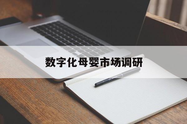 淄博市数字化母婴市场调研(数字化母婴市场调研报告)